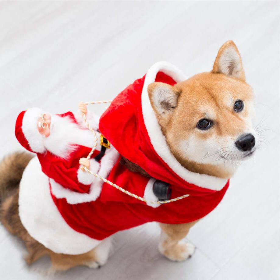 Festive Dog Christmas Costume-0